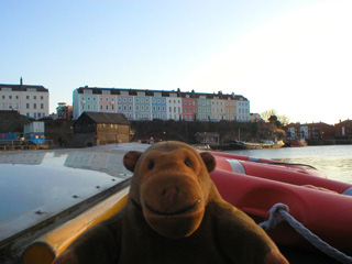 Mr Monkey looking at houses around Bathurst Basin