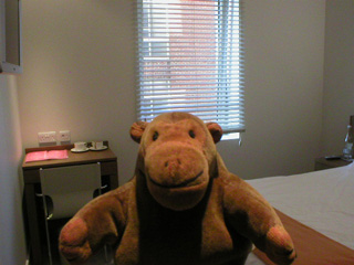 Mr Monkey in his hotel room