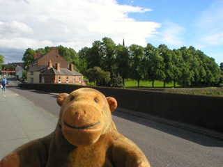 Mr Monkey on the Old Dee Bridge