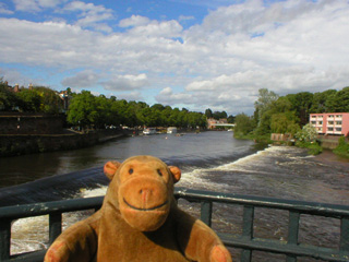 Mr Monkey looking at the weir from the Old Dee Bridge