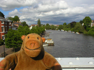 Mr Monkey looking from the suspension bridge