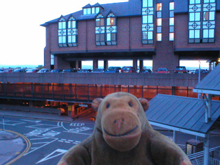 Mr Monkey looking at the Crowne Plaza hotel