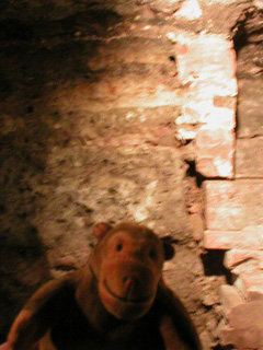 Mr Monkey examining dark earth in a cross section of wall