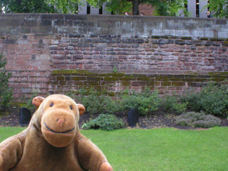 Mr Monkey looking at the breached city wall of Chester