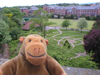 Mr Monkey looking down on Watertower gardens