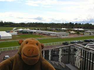 Mr Monkey looking at Chester race course