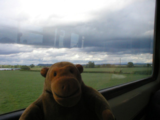 Mr Monkey on the train back to Stockport