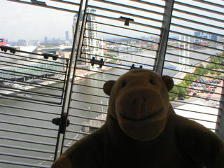 Mr Monkey looking down on the Lowry and the Designer Outlet from the IWMN