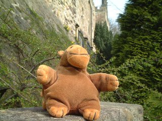 Mr Monkey in the gardens below the Castle museum