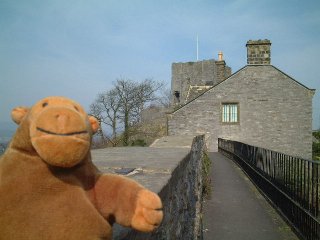 Mr Monkey walking the walls