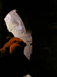 Mr Monkey in the doorway of the cellar