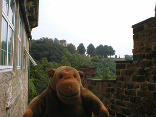 Mr Monkey looking at a wall of postcards