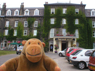 Mr Monkey looking at the Old Swan hotel 