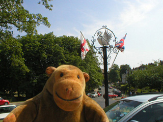 Mr Monkey looking at the swan on a pole outside the hotel