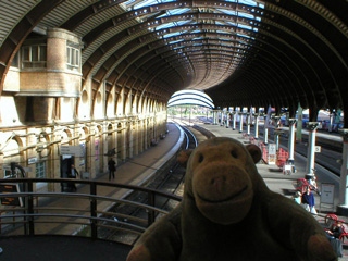 Mr Monkey looking at the roof of York station