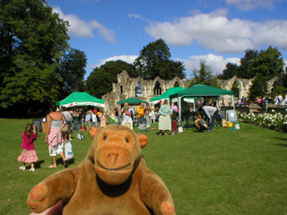 Mr Monkey looking stalls in Museum Gardens