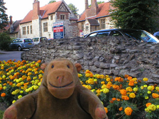 Mr Monkey looking at a bit of Roman wall