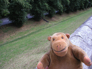 Mr Monkey looking at the ditch outside the walls