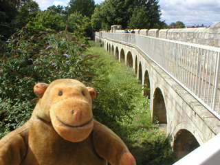 Mr Monkey looking at the inside of the walls