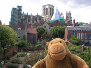 Mr Monkey looking at York Minster