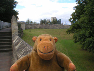 Mr Monkey looking at fields on the way to Harrogate