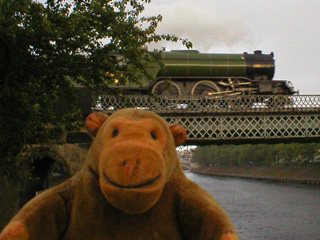 Mr Monkey watching the Green Arrow on Scarborough Bridge