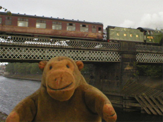 Mr Monkey watching the Scarborough Spa Express cross the Ouse