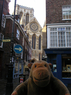 Mr Monkey getting a glimpse of York Minster between buildings
