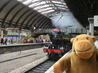 Mr Monkey watching a steam train arrive at York station