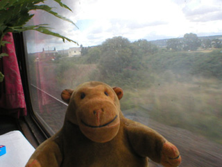 Mr Monkey watching smoke passing his window