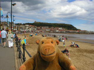 Mr Monkey looking towards Scarborough castle