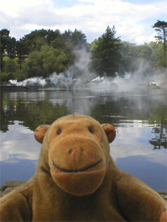 Mr Monkey watching ships approaching in clouds of smoke