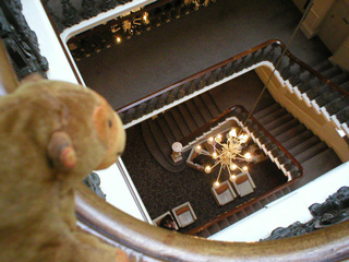 Mr Monkey looking down the stairwell in his hotel