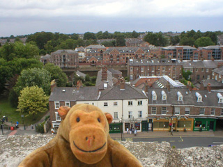 Mr Monkey looking towards the Ouse from Clifford's Tower