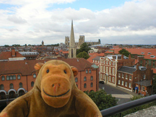 Mr Monkey looking at York Minster from Clifford's Tower