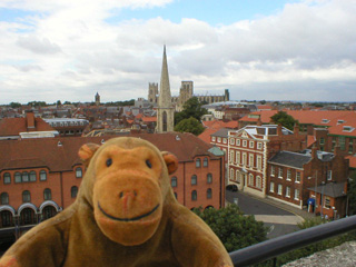 Mr Monkey looking at York Minster from Clifford's Tower
