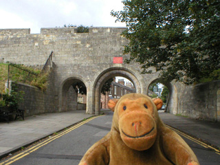 Mr Monkey looking at Victoria Bar