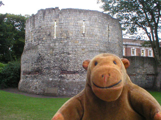 Mr Monkey looking at the multangular tower
