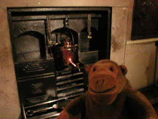 Mr Monkey looking at a kitchen range