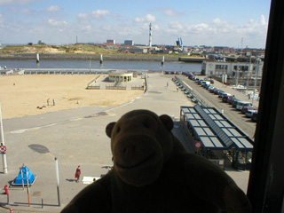 Mr Monkey looking out of his hotel window