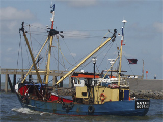 Fishing boat O.191, Natacha of Oostende, leaving harbour