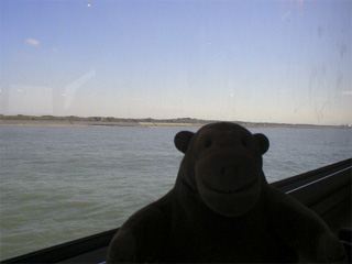 Mr Monkey looking at coastal dunes from the Seastar