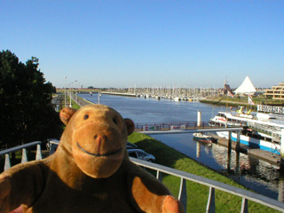Mr Monkey looking downriver to the harbour mouth