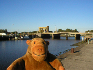 Mr Monkey looking towards the Albert I monument