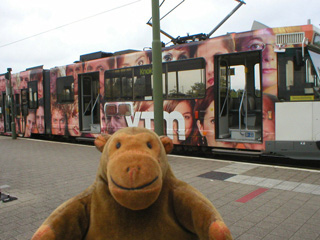 Mr Monkey looking at a coastal tram