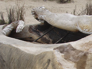 A pair of arms carved into a tree trunk