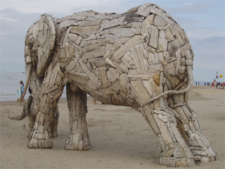 An elephant standing on the beach