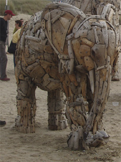 A small elephant on the beach