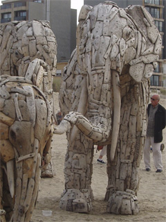 A group of elephants on the beach