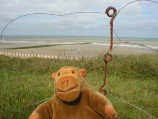 Mr Monkey observing the Raversijde beach